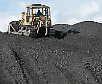 ПЕРСПЕКТИВЫ  «ЧЕРНОГО ЗОЛОТА»