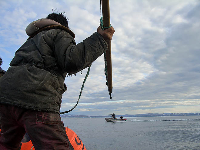 С гарпуном и карабином