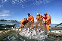 КОРРЕКТИРОВКА ПЛАНОВ