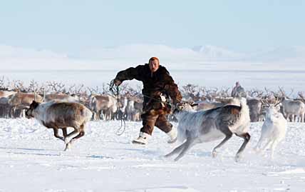 СЧИТАЕМ ГОЛОВЫ