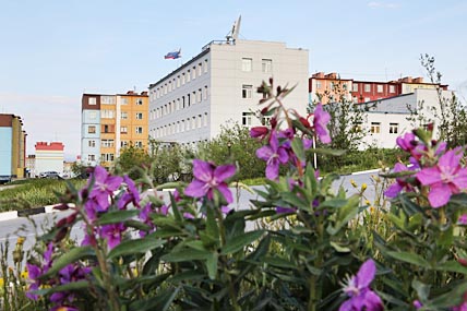 КОМИТЕТ ПОВЫСИЛИ В РАНГЕ