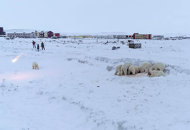Без страха перед людьми