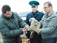 БРАКОНЬЕРОВ ОСТАНОВИЛИ