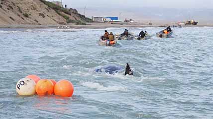 СТАРИК, ПЫХ-ПЫХ И МОРЕ