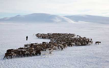 НОВАЯ КРОВЬ НА ПОДХОДЕ