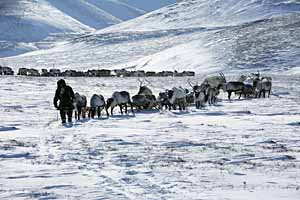 ОПОРА НА ИСТОРИЧЕСКУЮ ПАМЯТЬ