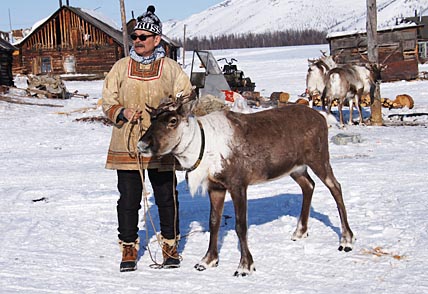 ОЛЕНЬ И КОНЬ В ОДНОЙ «УПРЯЖКЕ»