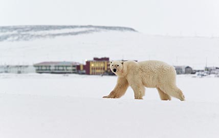 ЦЕНТР ЗАЩИТИТ ЛЮДЕЙ И УМОК
