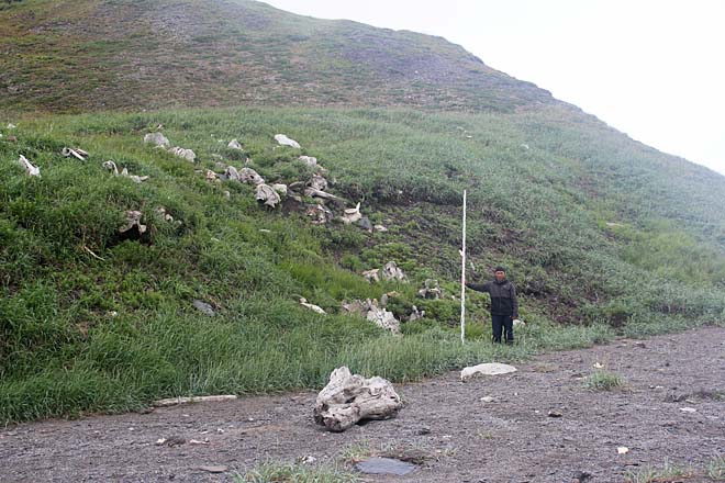 Состоянием удовлетворены