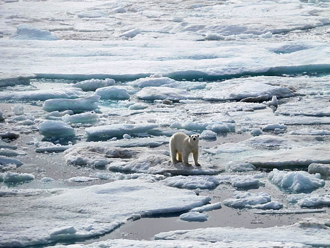 Когда льды уходят