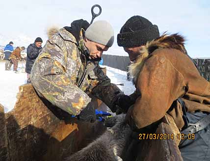 ТЕХНОЛОГИИ  В ПОМОЩЬ ТРАДИЦИЯМ