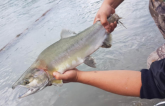 Чем порадовал «горбушёвый» год
