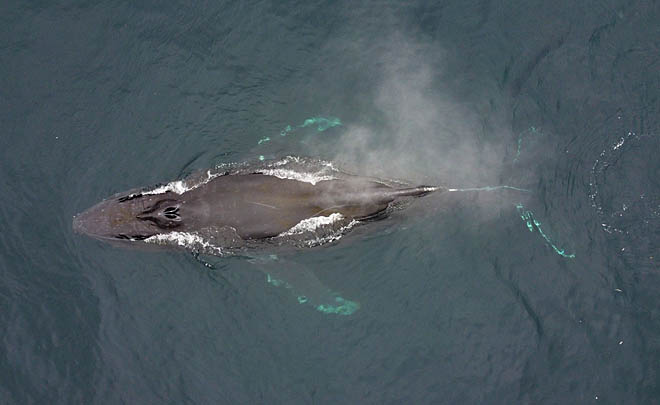 С высоты дрона