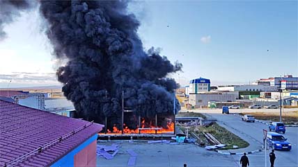 УКРОТИЛИ ЗА 11 МИНУТ