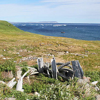 Объекты наследия проверят летом