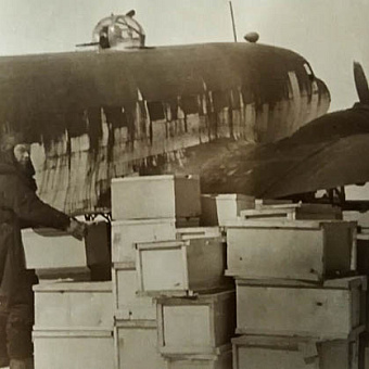 Воздушная дорога жизни