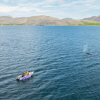 «Берингия» зовёт