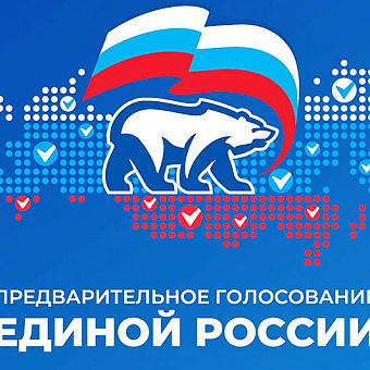 Электронное предварительное голосование «Единой России» стартовало на Чукотке