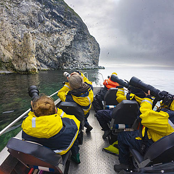 На край света за пернатыми