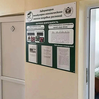 Кадры от мичуринцев