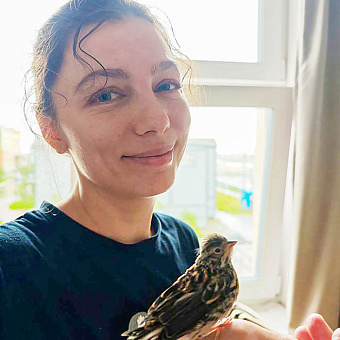 Овсянка, сэр!