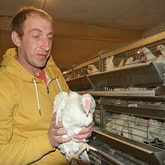 Гектары с вариантами