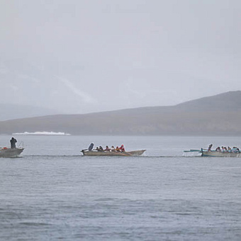 Регата в любую погоду